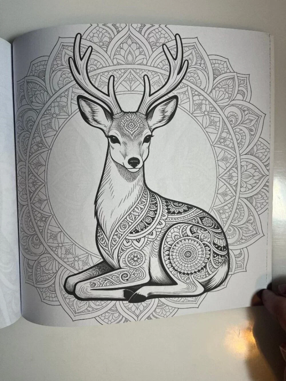 #COLOR-4 Animal Mandala Adult Coloring Book